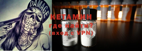 шишки Коряжма