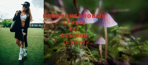 соль ск Костерёво