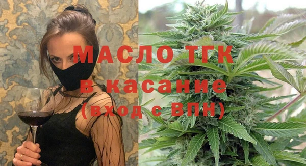 шишки Коряжма