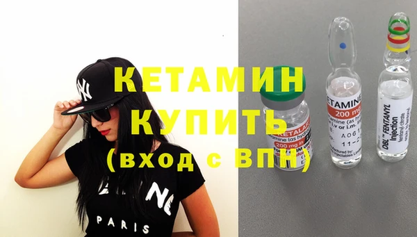 шишки Коряжма