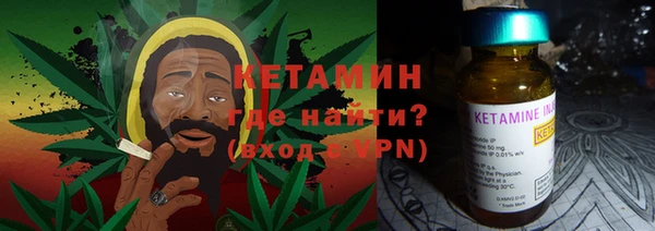 шишки Коряжма