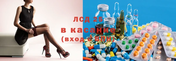 шишки Коряжма