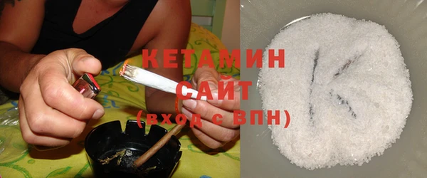 шишки Коряжма