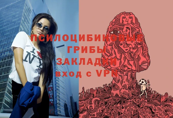 шишки Коряжма