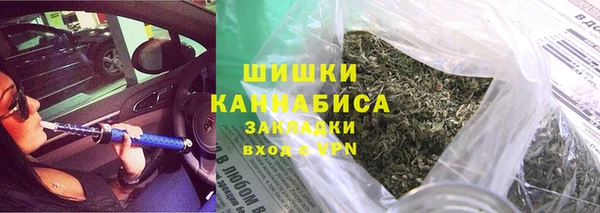 шишки Коряжма