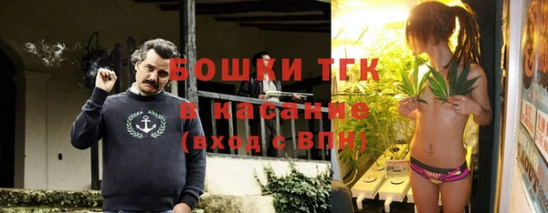 шишки Коряжма