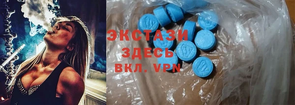 шишки Коряжма