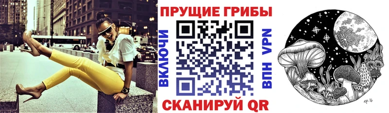 Купить закладки  Вязники  Псилоцибиновые грибы GOLDEN TEACHER 